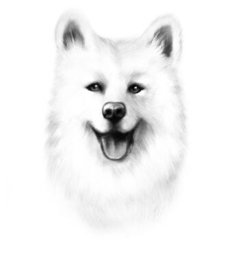 img4382000.png