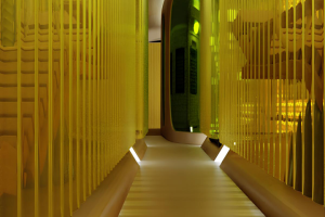 ВАГОН МАССАЖНЫЙ