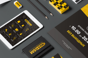 Фирменный стиль MaxGSM
