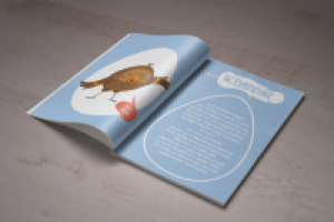 Разворот молодёжного путеводителя