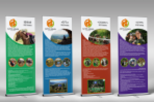 Линейка Roll up