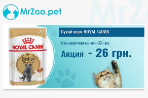 Баннеры для интернет магазина mrzoo.pet
