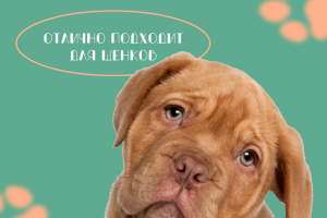 Продающая инфографика