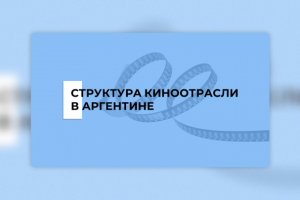 Структура киноотрасли в Аргентине (студенчекий проект)
