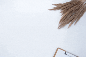 Продвижение сайтов в ТОП Яндекс и Google