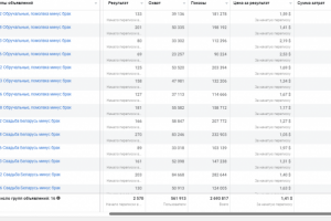 Кейс (статистика внутри) Обручальные кольца РБ