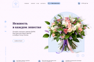 Дизайн интернет магазина