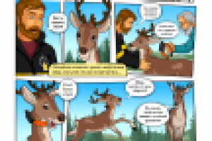 Работа 2170758