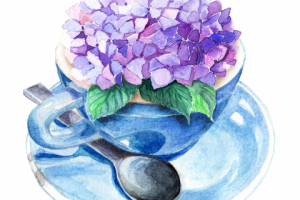 Гортензия в чашке