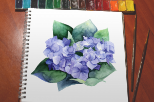 Гортензия акварелью