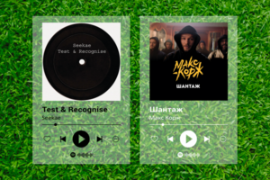 SPOTIFY GLASS