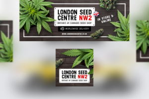 Работа 4229413