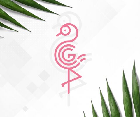 img3875714.png
