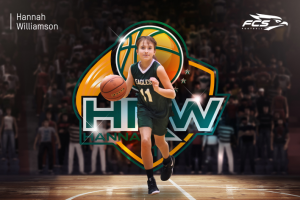 Баннер - коллаж