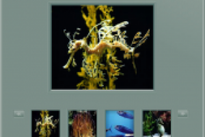 Мини фотогалерея