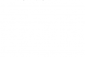 Contract translation