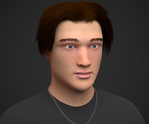 img4434795.png