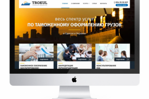 Таможенные брокеры «TROKUL»
