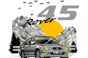 Rover 45