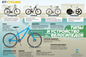 Вело-инфографика для Администрации г. Белгорода