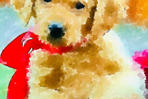 Иллюстрации