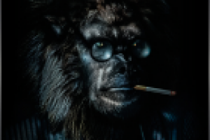 Работа 2695050