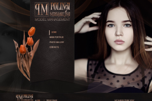 ПОРТФОЛИО модели