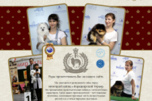 Питомник собак "Томико-Риоко"