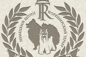 Создание логотипа