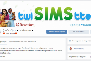 Оформление для группы в вк "twiSIMStter"