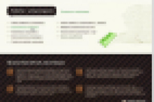 Сокольский завод