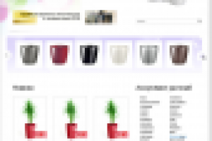 Бюро фитодизайна