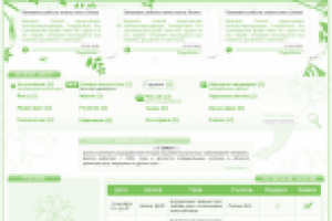 Первая победа в конкурсах 2008 год