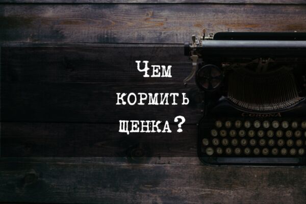 img4138294.png