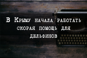 В Крыму начала работать скорая помощь для дельфинов