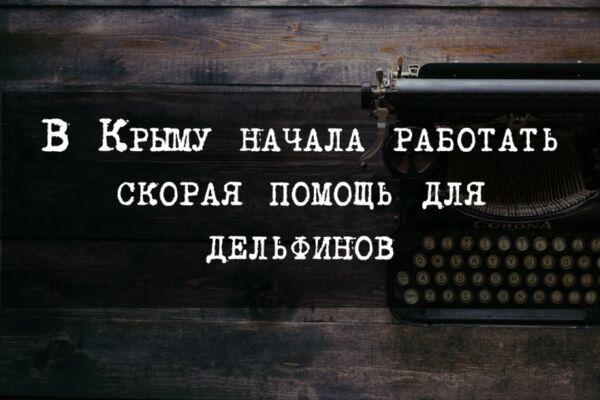 img4002776.png