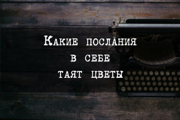 img4146138.png