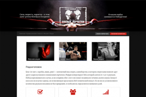 Спортклуб "Боевые перчатки"