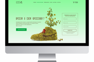 LP Новая Коллекция