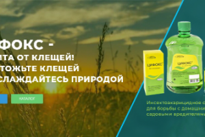 Главный баннер