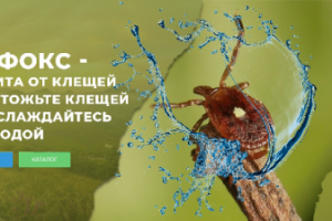 Баннер на Главную