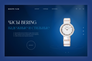 Landing Page for "Bering"
