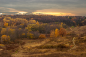 Осенняя пора