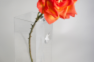 Работа 2124417