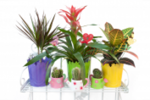 Работа 2124397