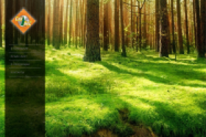 Сайт по продаже пиломатериала