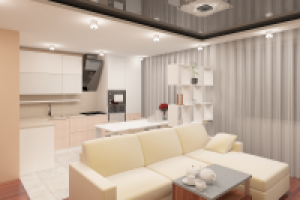 гостиная-столовая