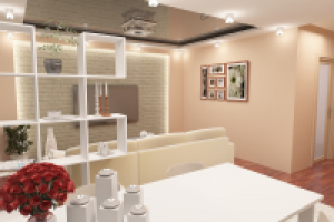 гостиная-столовая