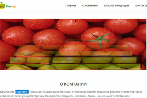 Сайт оптовой компании "НЕВАФРУТ"