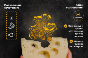 Инфографика для компании "Сырок"